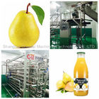 380V / 220V Fruit And Vegetable Processing Line Customized Size For Pear