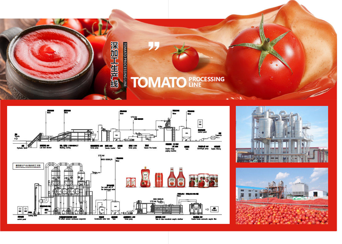SS304 Small Scale Ketchup Tomato Paste Production Line Customized Size Easy Operation