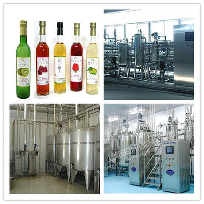 Kompletna automatyczna linia do produkcji suszonych owoców Linia do produkcji suszonych kiwi