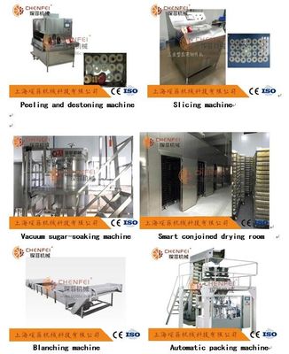 1000 kg / H Maszyna do produkcji obranych rdzeni jabłek i gruszek