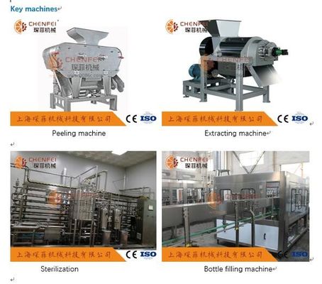 Linia do produkcji soków z granatów Coustom 5T / H Certyfikat ISO9001